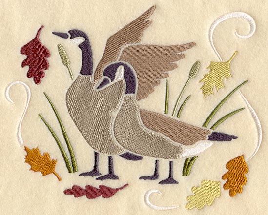 Canada Geese in Autumn