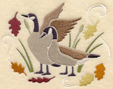 Canada Geese in Autumn
