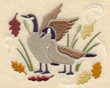 Canada Geese in Autumn
