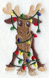 Molly Moose Making Mischief