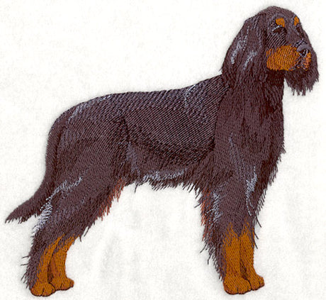 Gordon Setter