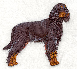 Gordon Setter