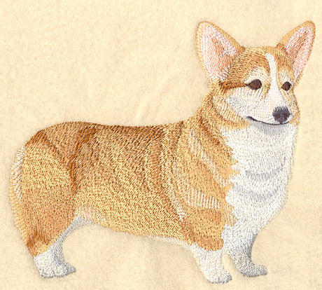 Pembroke Welsh Corgi