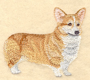 Pembroke Welsh Corgi