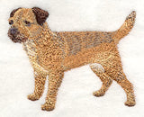 Border Terrier