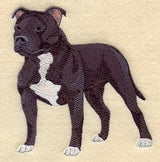 Staffordshire Bull Terrier