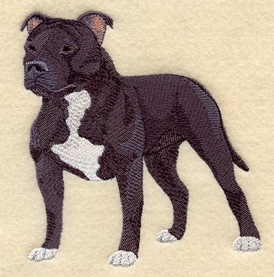 Staffordshire Bull Terrier