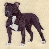 Staffordshire Bull Terrier
