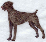 German Shorthaired Pointer