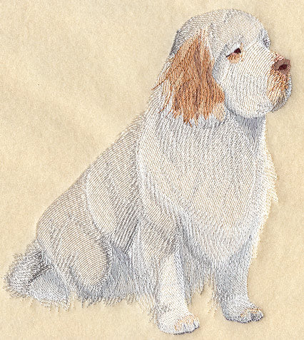 Clumber Spaniel