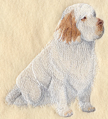 Clumber Spaniel