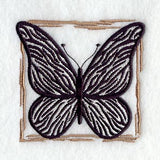 Wild Butterfly (Zebra)