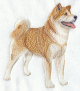 Akita