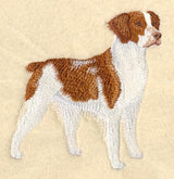 Brittany Spaniel
