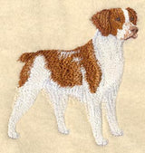 Brittany Spaniel