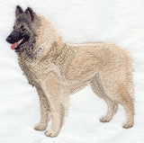 Belgian Shepherd (Tervuren)