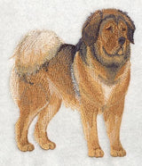 Tibetan Mastiff