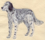 English Setter (Belton)