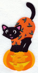 Kitten in Halloween Pajamas
