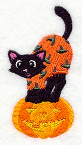 Kitten in Halloween Pajamas