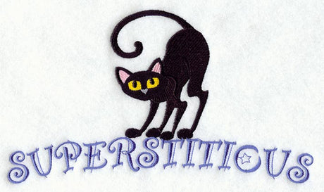 Superstitious Cat
