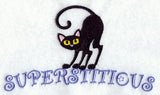 Superstitious Cat