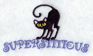 Superstitious Cat