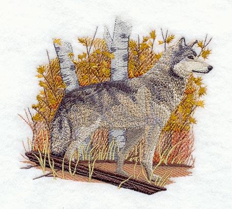 Wolf - Autumn