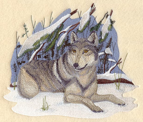 Wolf - Winter