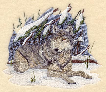 Wolf - Winter