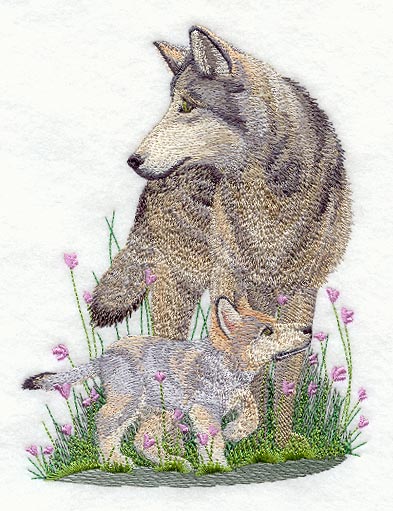 Wolf - Spring