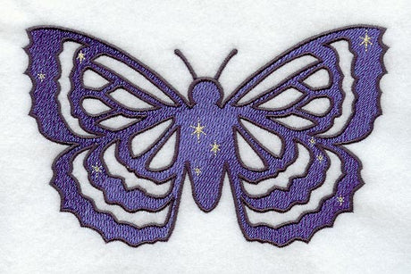 Starlight Moth