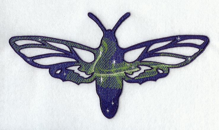 Milky Way Moth