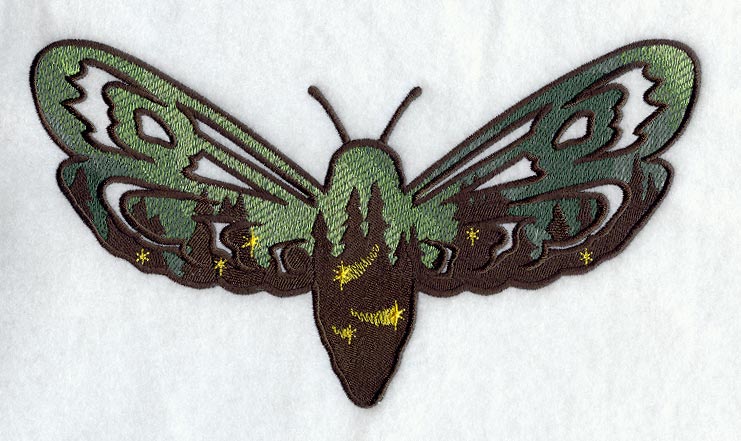 Northern Lights Moth