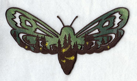 Northern Lights Moth
