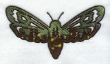 Northern Lights Moth