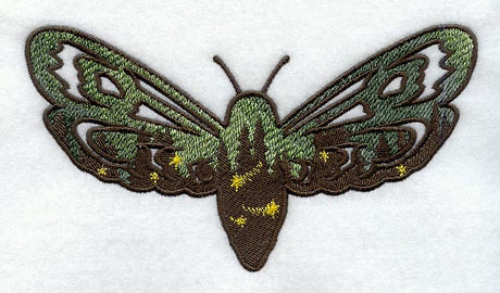 Northern Lights Moth