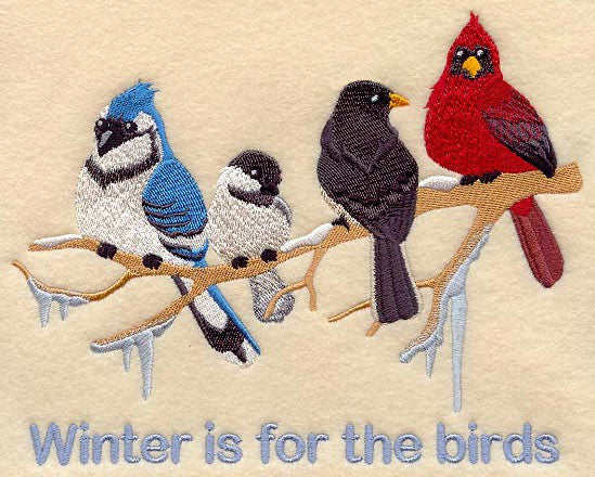 Winter is for the Birds - Backyard Birds