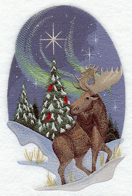 Nature's Christmas Moose