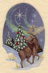 Nature's Christmas Moose