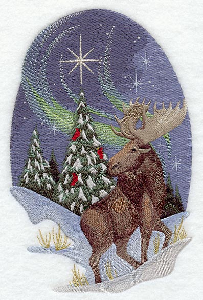 Nature's Christmas Moose