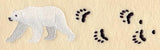 Polar Bear and Tracks