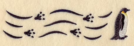 Penguin and Tracks