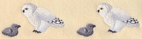 Snowy Owl and Chicks