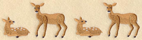 Does and Fawns