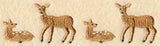Does and Fawns