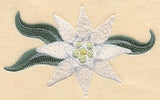 Edelweiss Flower