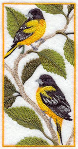 Baltimore Oriole Panel