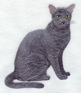 Russian Blue