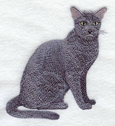 Russian Blue